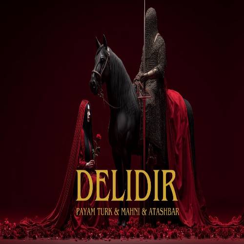 دانلود آهنگ دلیدیر (دمه مجنونا دلی بلکه ده لیلا دلیدیر) از پیام تورک